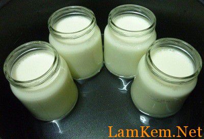 8 Cách Làm Sữa Chua Ngon, Dẻo Mịn Đơn Giản Không Cần Ủ Tại Nhà